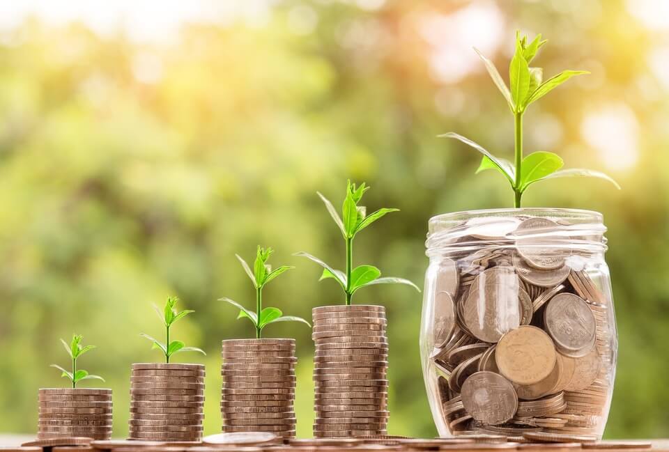 Coins are stacked with a plant on top